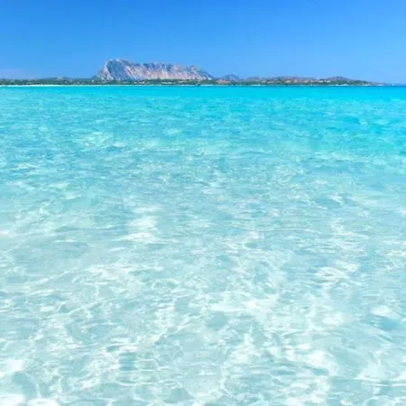 Zeta Club San Teodoro Le Rose 4*