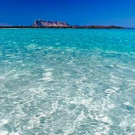 Hotel Zeta Club Le Rose 4*